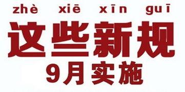 杭州北庙今日新闻头条,千年古庙焕新颜，文化传承迎新春